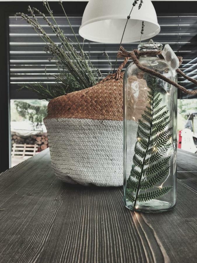 Affittacamere Casa Ester Baselga di Pine Luaran gambar